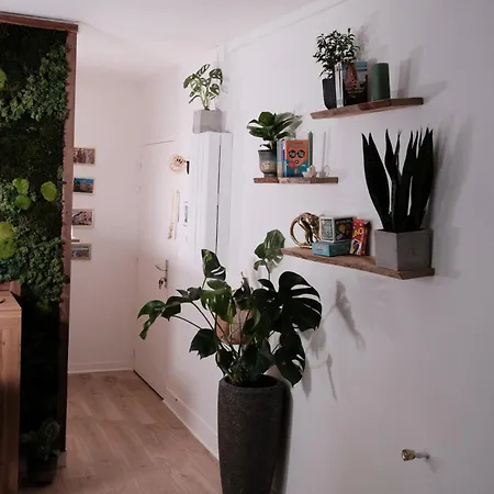 Апартаменты L'echappee Verte - Hyper Centre - Inclus *